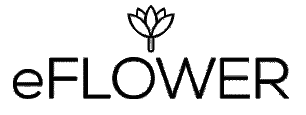 www.eflower.com.br